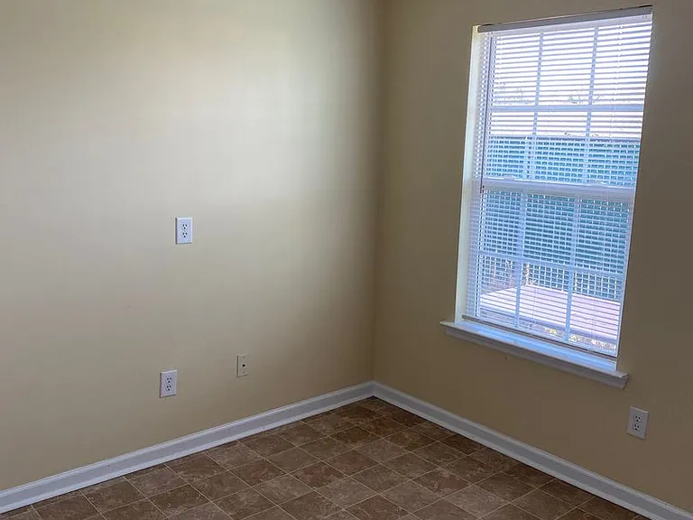 441 Flowing Creek Dr — Photo 4