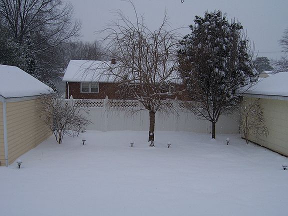 Backyard after a snowstorm