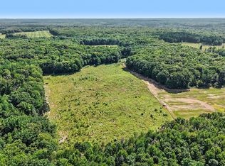 LOT 1 E Bear Paw Dr, White Cloud, MI 49349