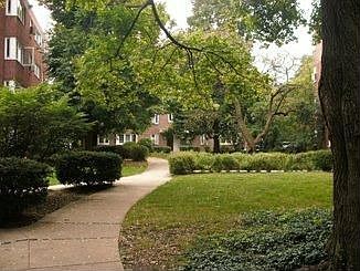 4th image of 7212 Oak Ave #2