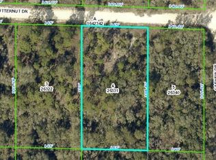 Butternut Dr, Webster, FL 33597
