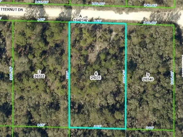 Butternut Dr, Webster, FL 33597