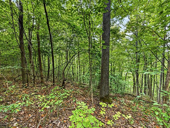 2nd image of 0 Timber Ridge Ln Lot 29