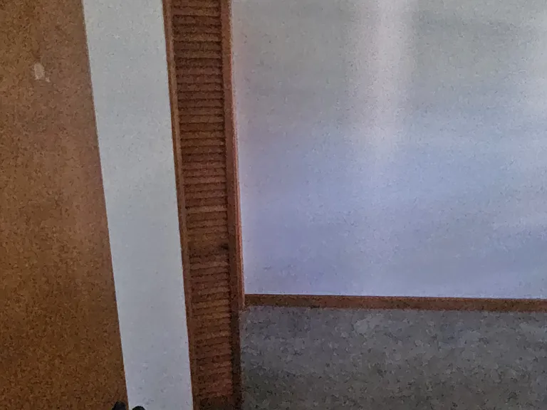 203 Nokes Dr #B — Photo 4