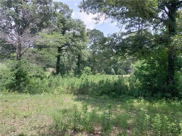 53 Jim Taylor Rd, Boyce, LA 71409