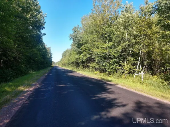 Tbd Chaney Lake Rd, Bessemer, MI 49911