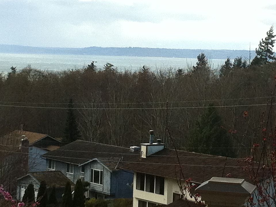 Puget Sound Territorial View