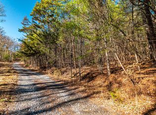 3.46 Twin Springs Rd, Mineral Bluff, GA 30559