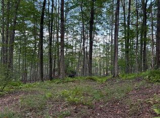 47 Studer Rd Lot 22, Wellsville, NY 14895