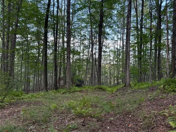 47 Studer Rd Lot 22, Wellsville, NY 14895