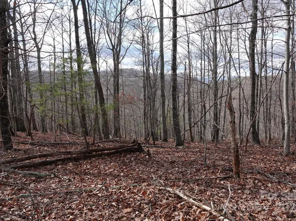 79 Longview Trl, Bostic, NC 28018