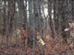 46 Healdville Rd, Hubbardston, MA 01452