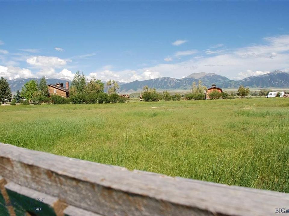 1st image of LOT 32 Griffin Minor