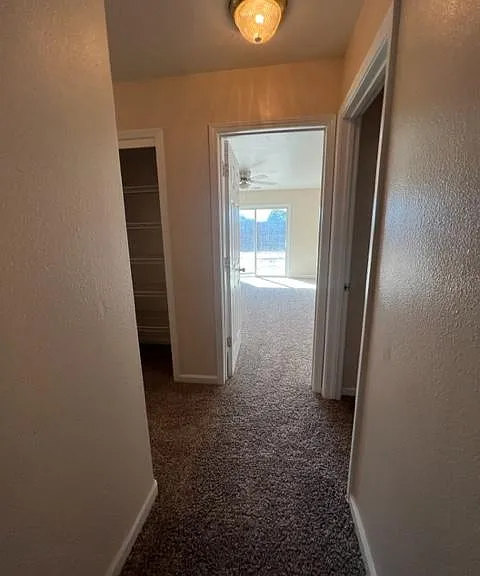 3845 Primrose St — Photo 6