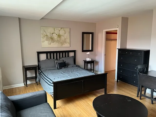 Studio, 401 sqft, $1,875 — Photo 2