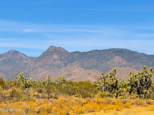 TBD Alamo Rd 44.72 Acres -- #-, Yucca, AZ 86438