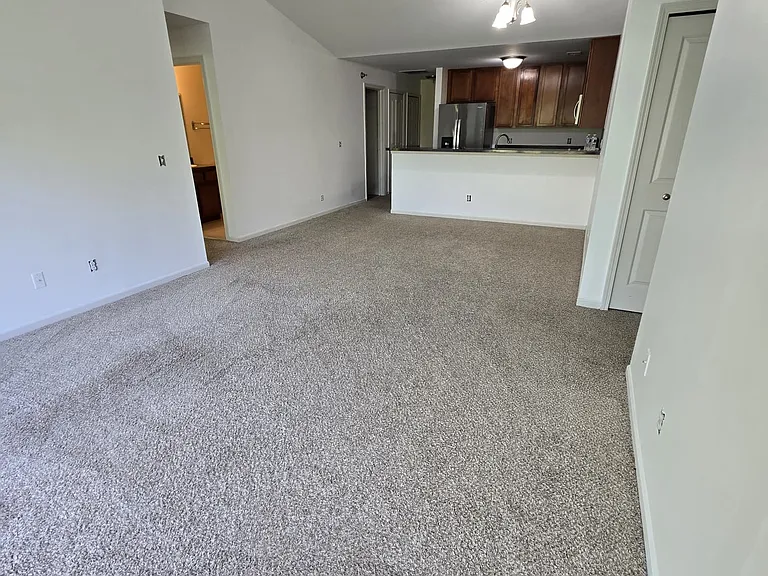 3215 Goldeneye Ln — Photo 13