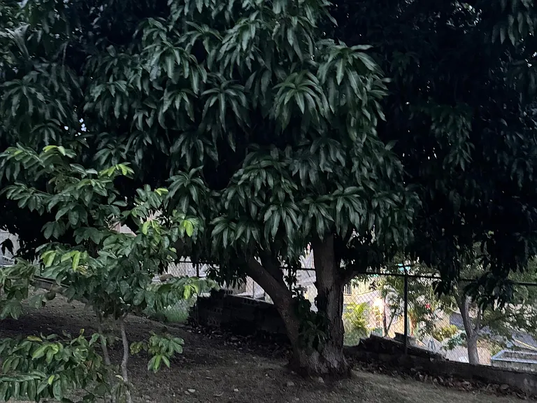 1 Carr El Salto #307 — Photo 7