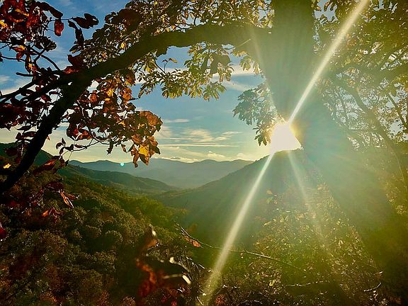 scenic overlook