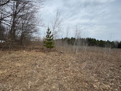 W Houghton Lake Rd, Lake City, MI, 49651