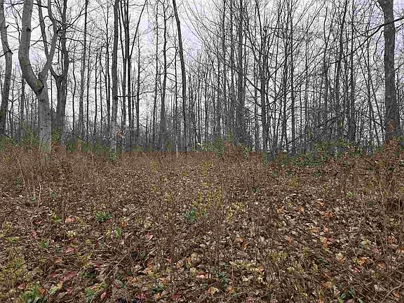 3rd image of LOT 7 High Pines Trl