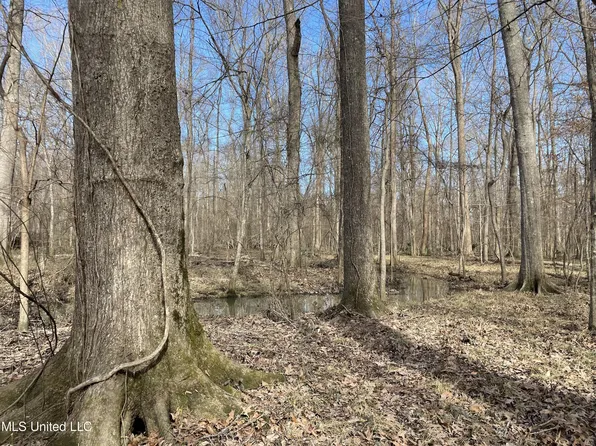 0 Highway 469 N, Pearl, MS 39208