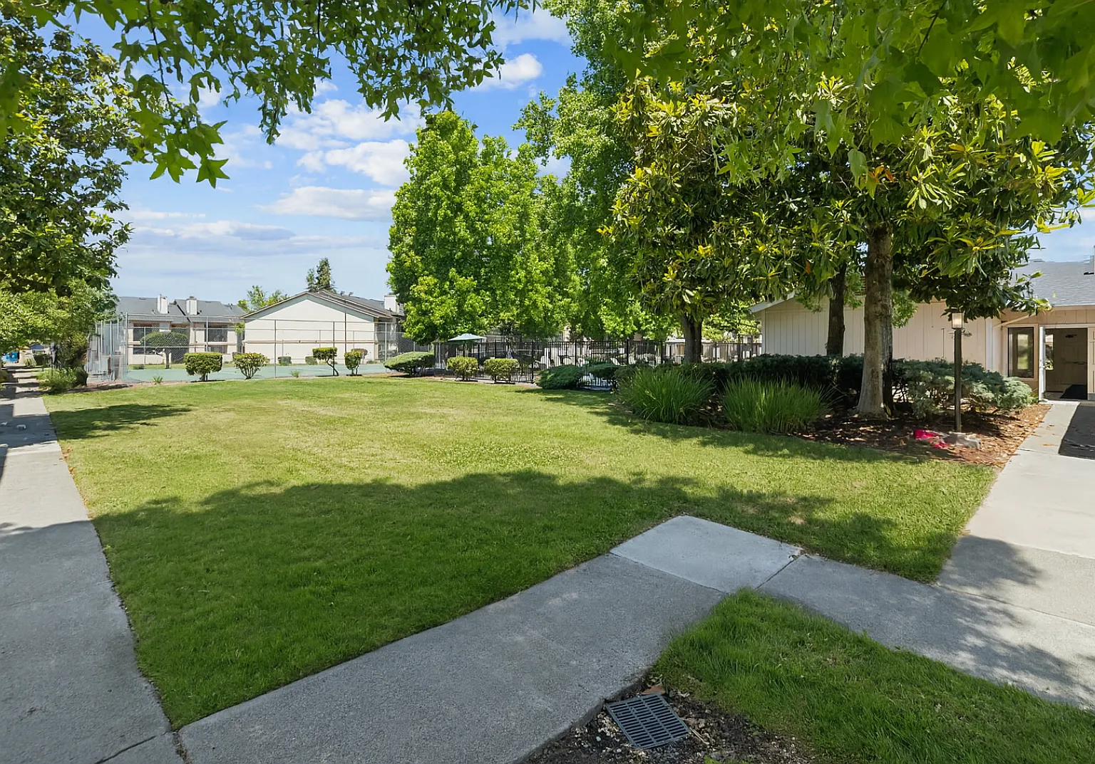 Camino Creek — Photo 4
