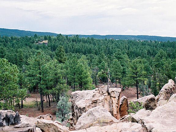 4th image of B51 & Cow Creek Rd #0