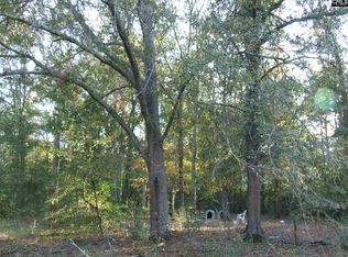 422 Huckabee Mill Rd, Swansea, SC 29160