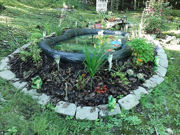 Pond in back yard