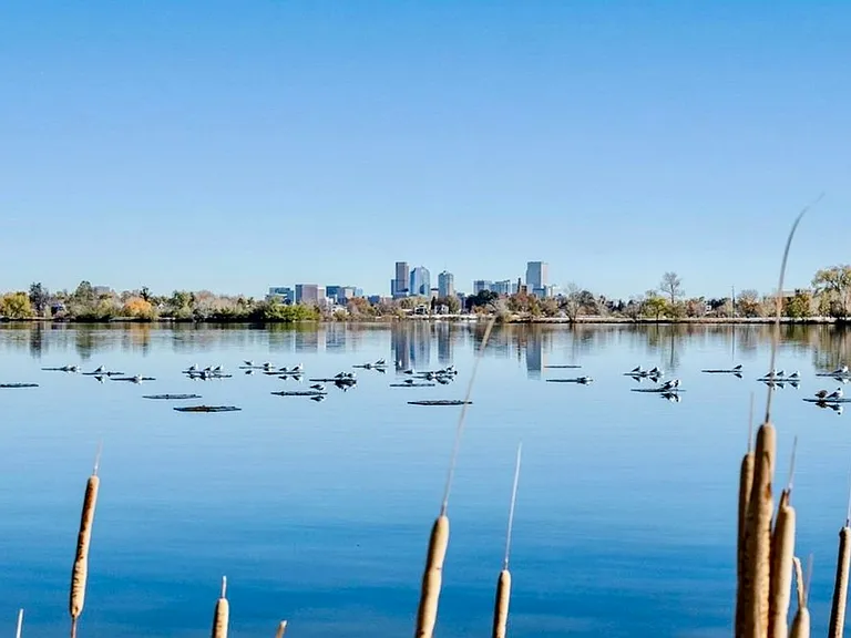 sloan lake
