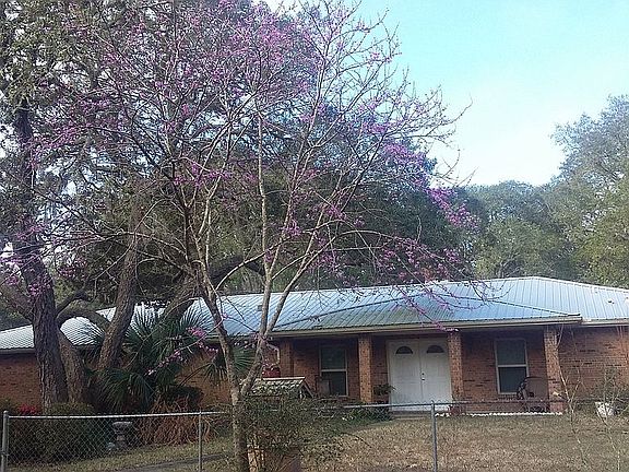 February Redbud Blooms/tree