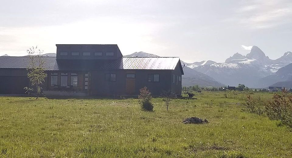 2nd image of 799 Wild Cat Cyn