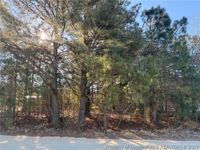 Brownestone Ln, Dunn, NC, 28334
