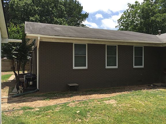 Backyard/ new windows