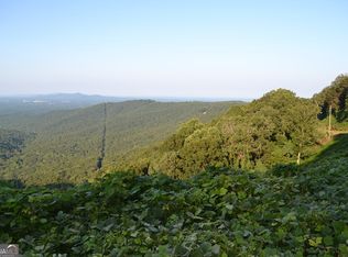 199 Parkside Ct, Ellijay, GA 30536