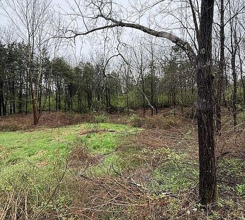 5th image of 2193 W Highway 42 Lot 2
