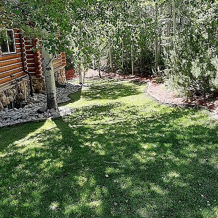 Summer Trees