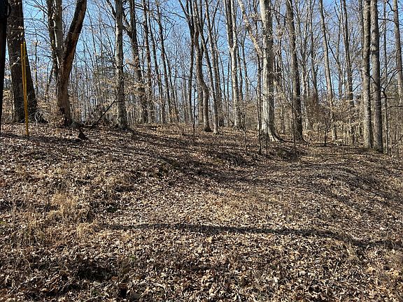 2nd image of 0 Park Dr Lot 284