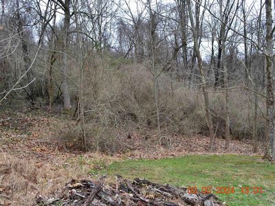 LOT 48 Poplar St, Jane Lew, WV, 26378