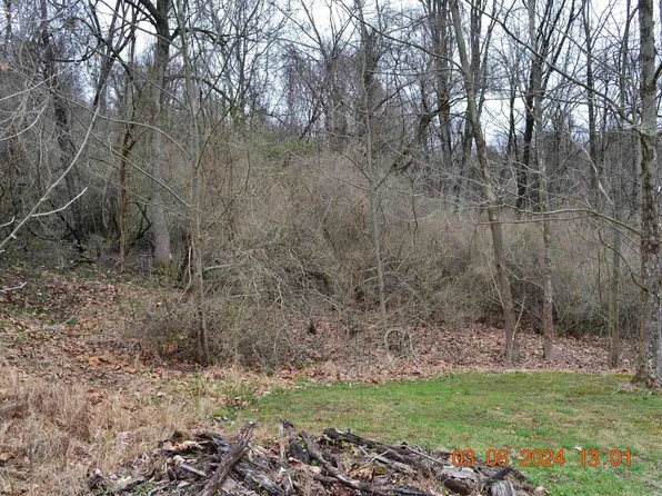 LOT 48 Poplar St, Jane Lew, WV 26378
