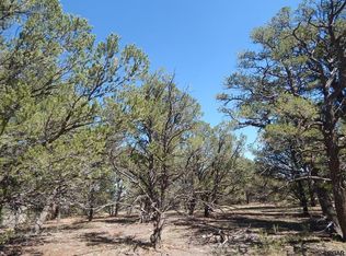 Tbd 10th Trl, Cotopaxi, CO