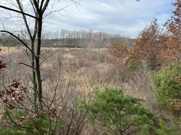 63 Acres MOL BERANEK ROAD, Mosinee, WI 54455