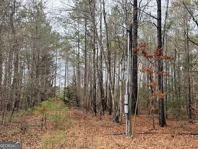 470/510 Ivey Farms Rd photo 1