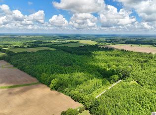 826 Airline Rd, Salem, KY 42078