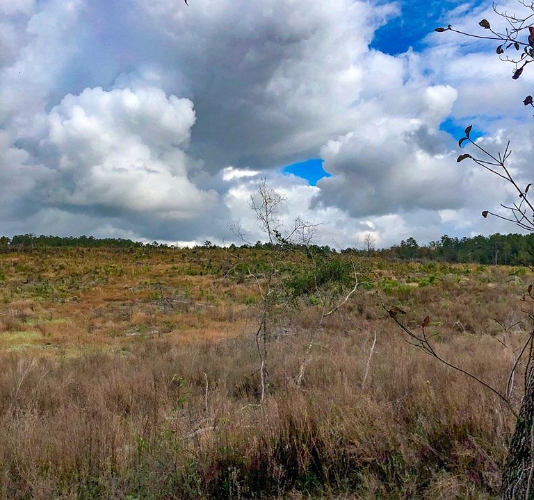 2nd image of 0 Cooks Pond Rd