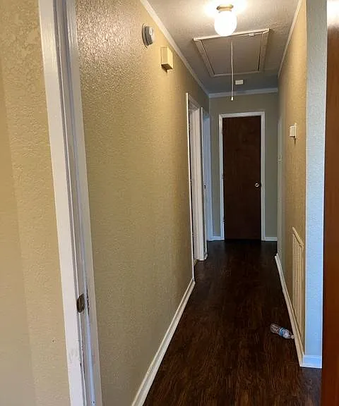 2410 Windy Pine Ln — Photo 6