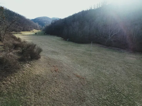 552 Straight Run Rd, Alum Bridge, WV 26321