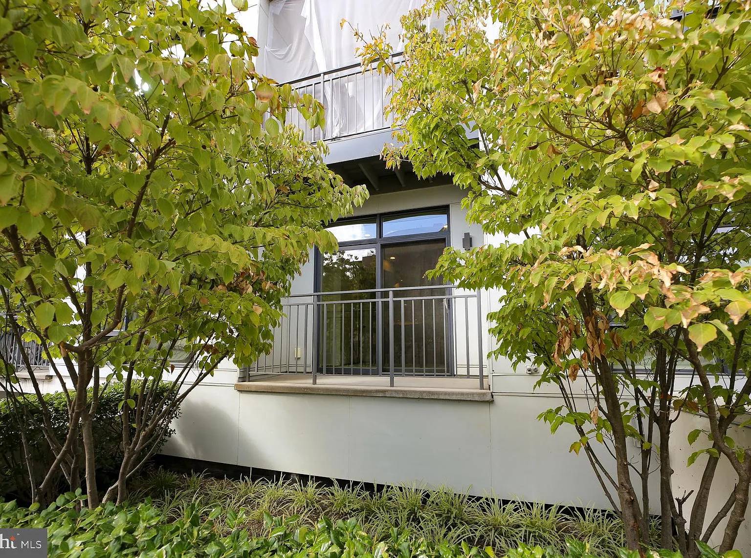 Mount Pleasant — Photo 2