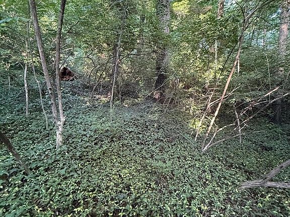 4th image of 5016 Ridgemont Dr Lot 59